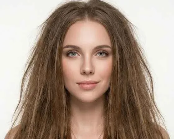 Before (Dry & Frizzy)
